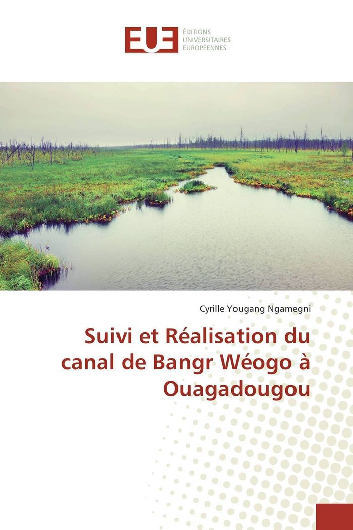 Couverture du livre « SUIVI ET REALISATION DU CANAL DE BANGR WEOGO A OUAGADOUGOU » de Ngamegni C Y., librairie Les Contes Infusés à Corte