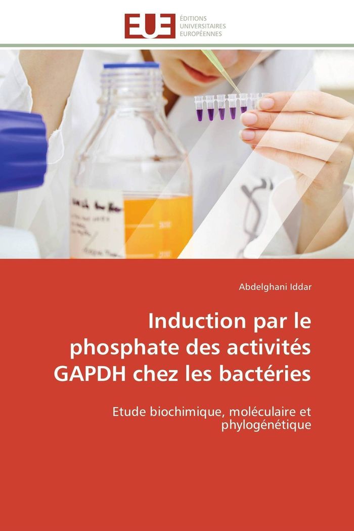 Couverture du livre « INDUCTION PAR LE PHOSPHATE DES ACTIVITES GAPDH CHEZ LES BACTERIES », librairie Les Contes Infusés à Corte
