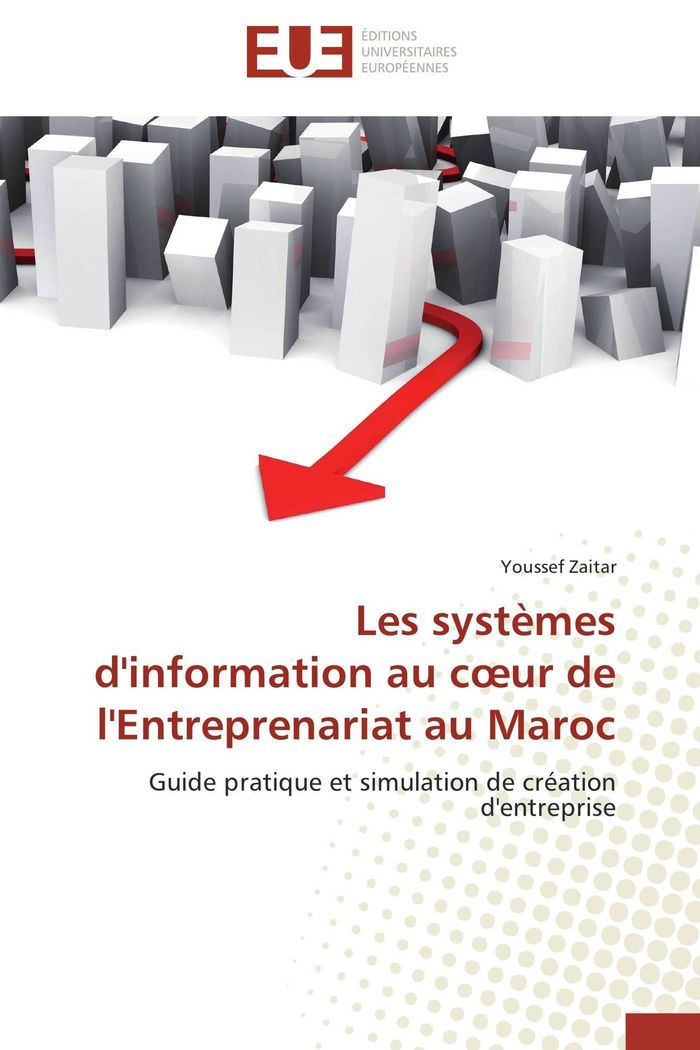 Couverture du livre « LES SYSTEMES D'INFORMATION AU C UR DE L'ENTREPRENARIAT AU MAROC » de Zaitar-Y, librairie Les Contes Infusés à Corte