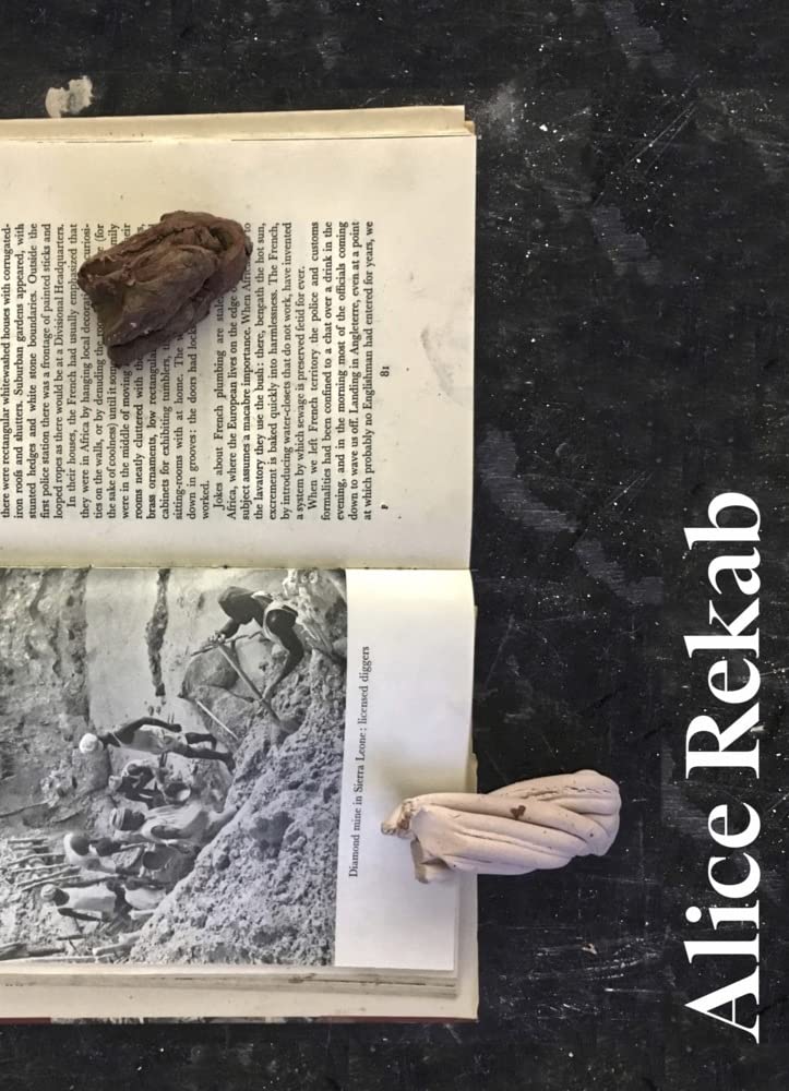 Couverture du livre « MEHRFAMILIENHAUS /ANGLAIS/ALLEMAND » de Alice Rekab, librairie Les Contes Infusés à Corte