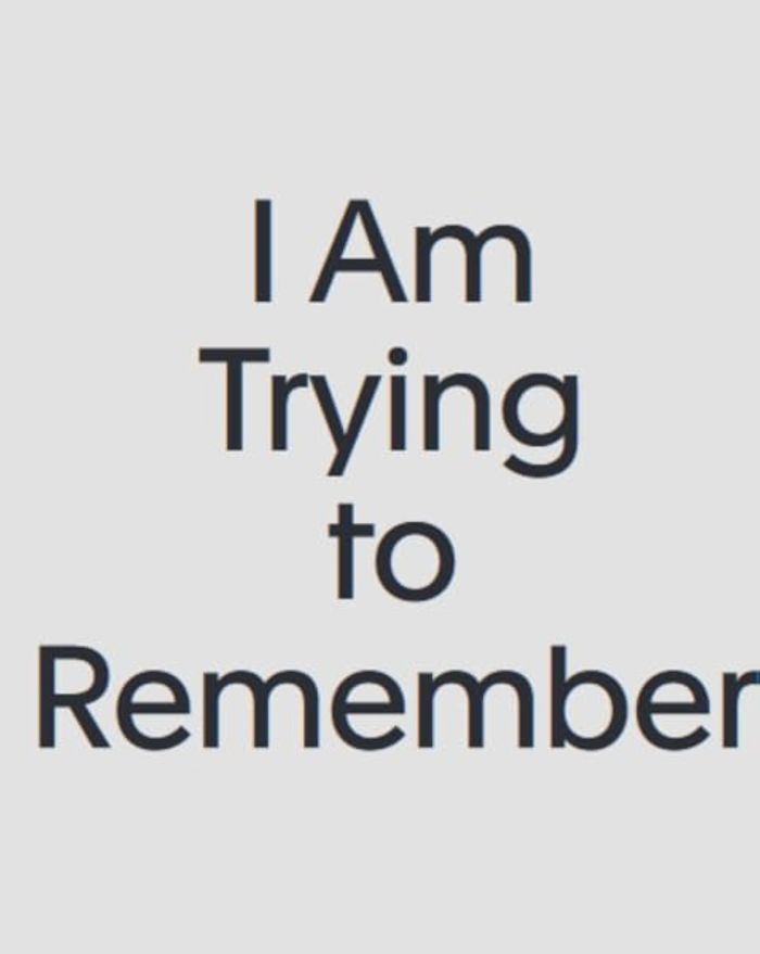 Couverture du livre « I AM TRYING TO REMEMBER RESEARCH ON JONAS MEKAS /ANGLAIS », librairie Les Contes Infusés à Corte