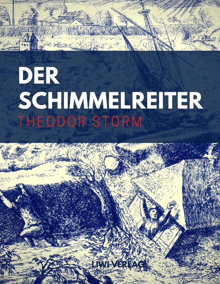 Couverture du livre « DER SCHIMMELREITER » de Theodor Storm, librairie Les Contes Infusés à Corte