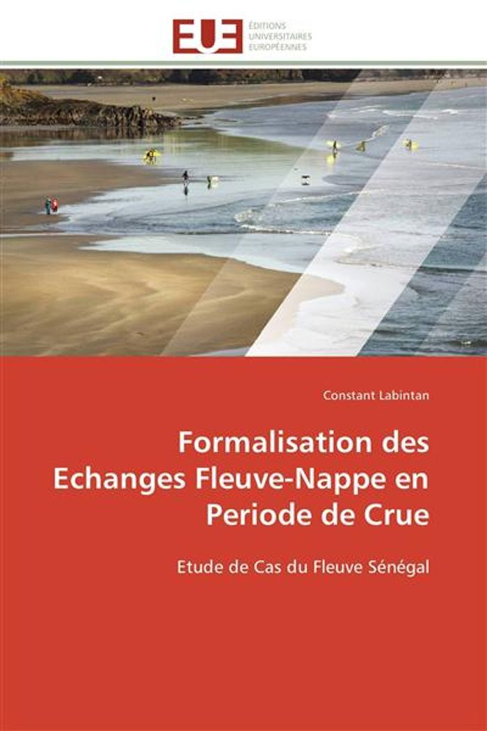 Couverture du livre « FORMALISATION DES ECHANGES FLEUVE-NAPPE EN PERIODE DE CRUE - ETUDE DE CAS DU FLEUVE SENEGAL » de Constant Labintan, librairie Les Contes Infusés à Corte