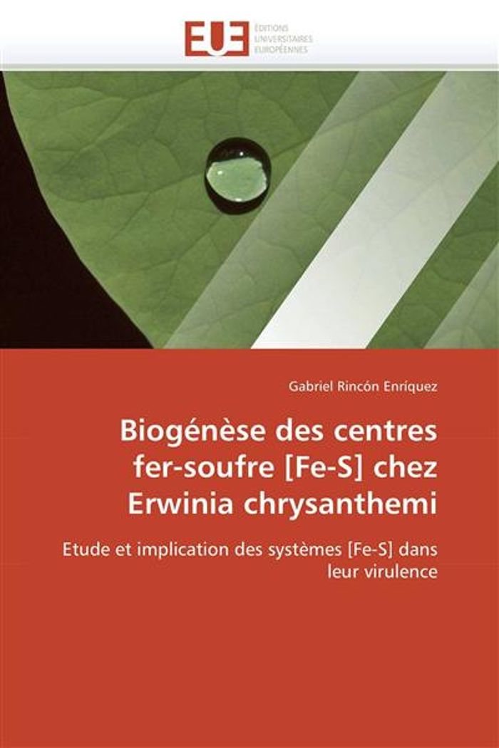 Couverture du livre « BIOGENESE DES CENTRES FER-SOUFRE [FE-S] CHEZ ERWINIA CHRYSANTHEMI » de Enriquez-G Rincon, librairie Les Contes Infusés à Corte