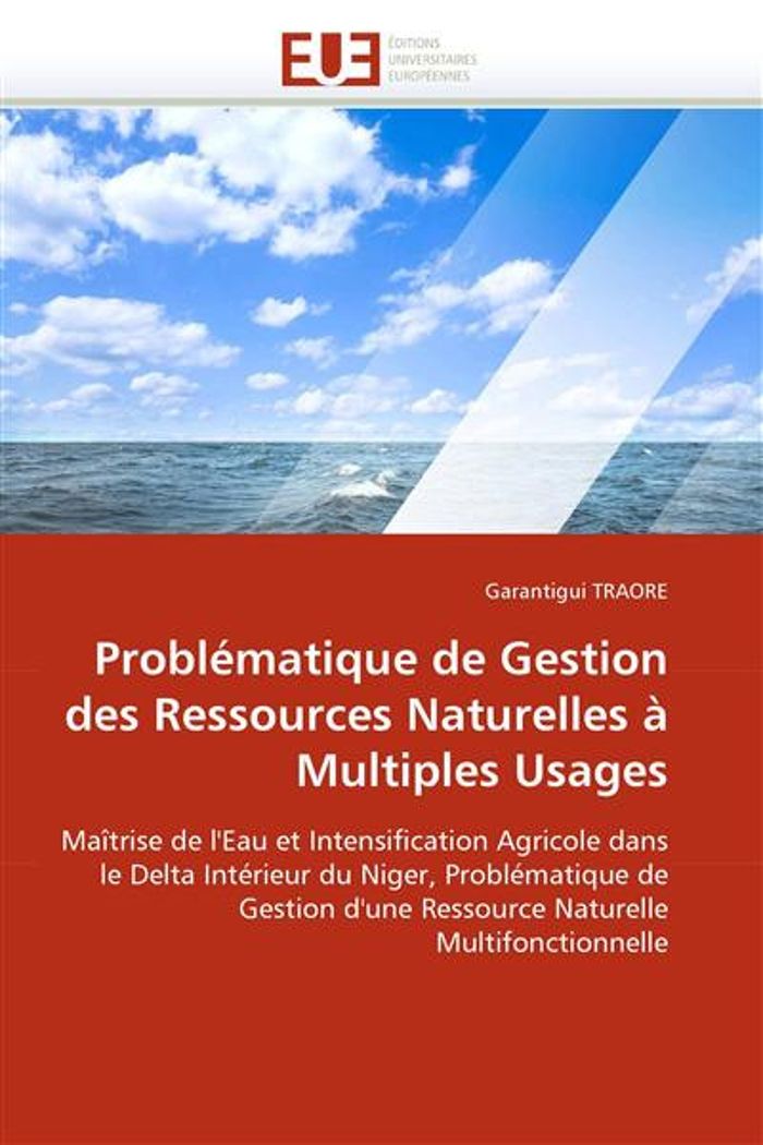 Couverture du livre « PROBLEMATIQUE DE GESTION DES RESSOURCES NATURELLES A MULTIPLES USAGES » de Traore-G, librairie Les Contes Infusés à Corte