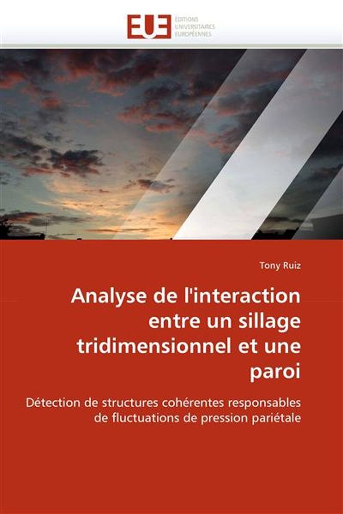 Couverture du livre « ANALYSE DE L''INTERACTION ENTRE UN SILLAGE TRIDIMENSIONNEL ET UNE PAROI » de Ruiz-T, librairie Les Contes Infusés à Corte