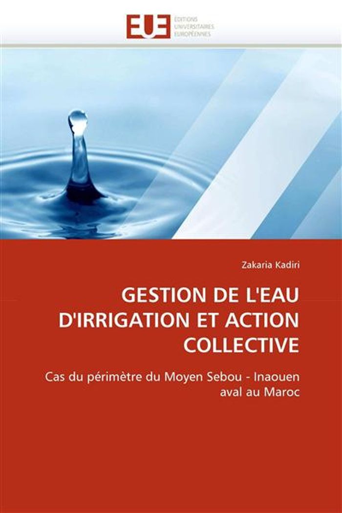 Couverture du livre « GESTION DE L''EAU D''IRRIGATION ET ACTION COLLECTIVE », librairie Les Contes Infusés à Corte