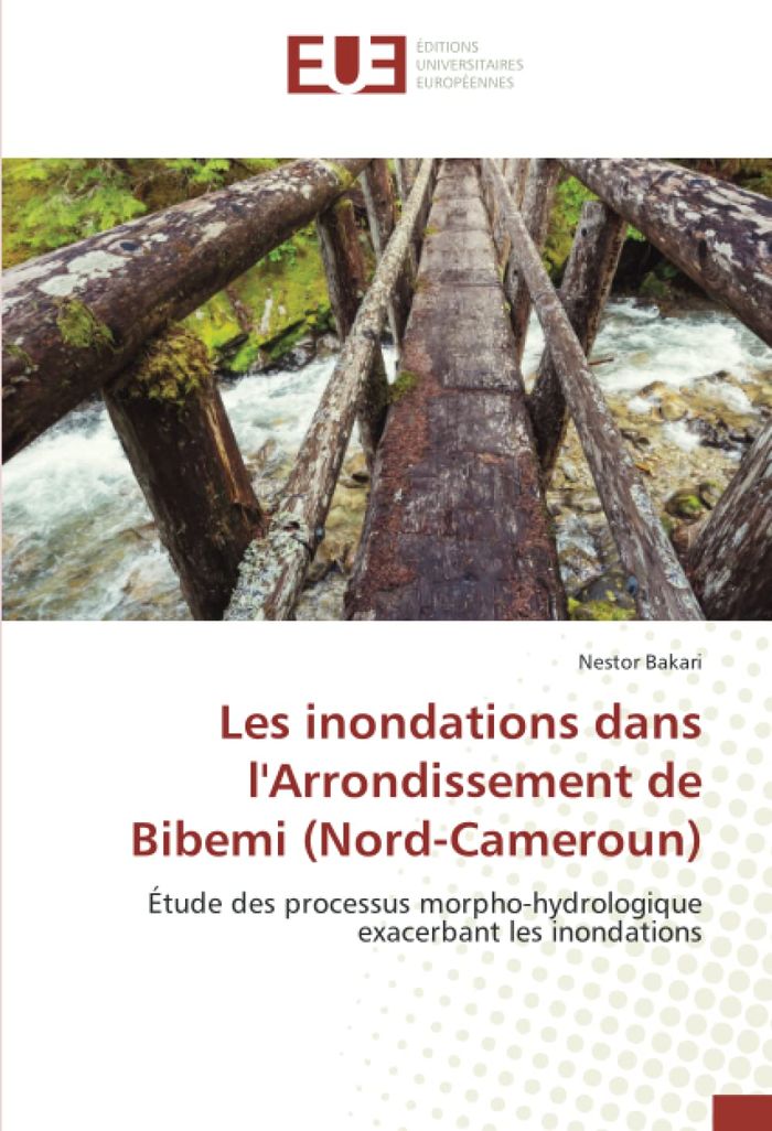 Couverture du livre « LES INONDATIONS DANS L'ARRONDISSEMENT DE BIBEMI (NORD-CAMEROUN) - ETUDE DES PROCESSUS MORPHO-HYDROLO », librairie Les Contes Infusés à Corte
