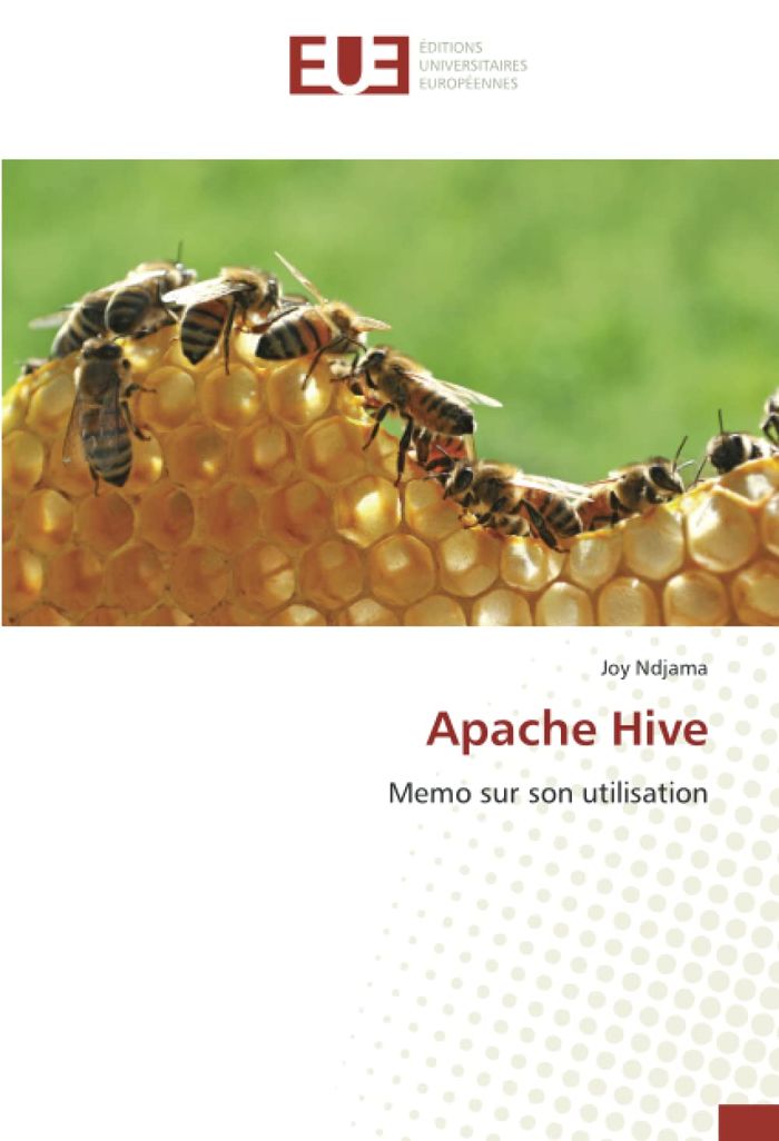 Couverture du livre « APACHE HIVE - MEMO SUR SON UTILISATION », librairie Les Contes Infusés à Corte