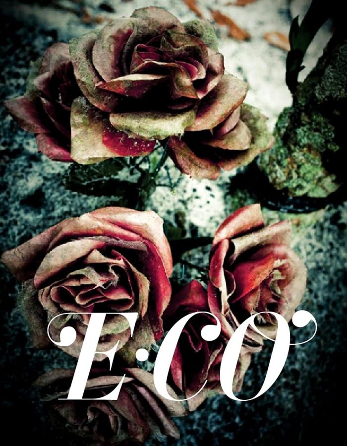 Couverture du livre « E-CO /ANGLAIS/ESPAGNOL » de Carreras, librairie Les Contes Infusés à Corte