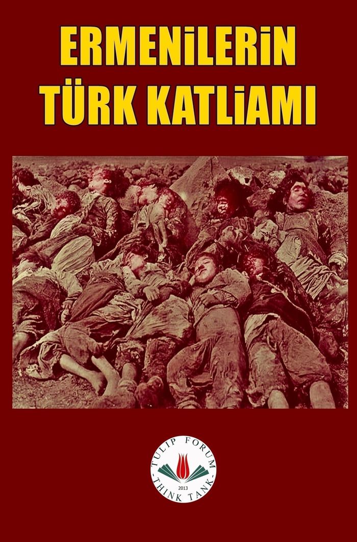Couverture du livre « ERMEN LER N TURK KATL AMI », librairie Les Contes Infusés à Corte