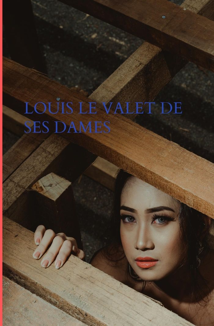 Couverture du livre « LOUIS LE VALET DE SES DAMES » de Michel Maly, librairie Les Contes Infusés à Corte