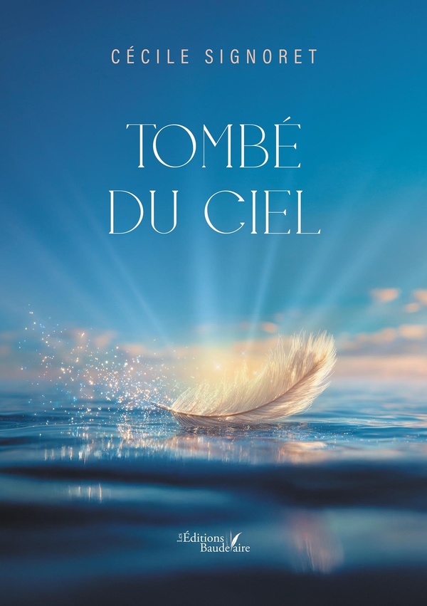 Couverture du livre « Tombé du ciel : témoignage romancé d'une histoire personnelle extraordinaire », librairie Les Contes Infusés à Corte