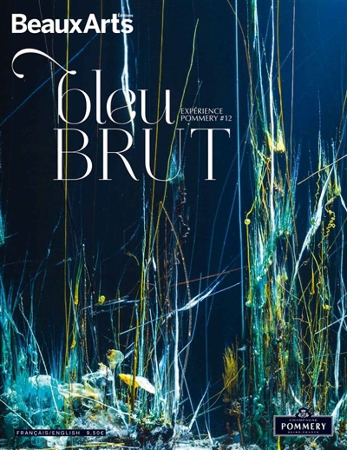 Couverture du livre « BLEU BRUT-BILINGUE FR-ANG - EXPERIENCE POMMERY N 12 » de Collectif, librairie Les Contes Infusés à Corte