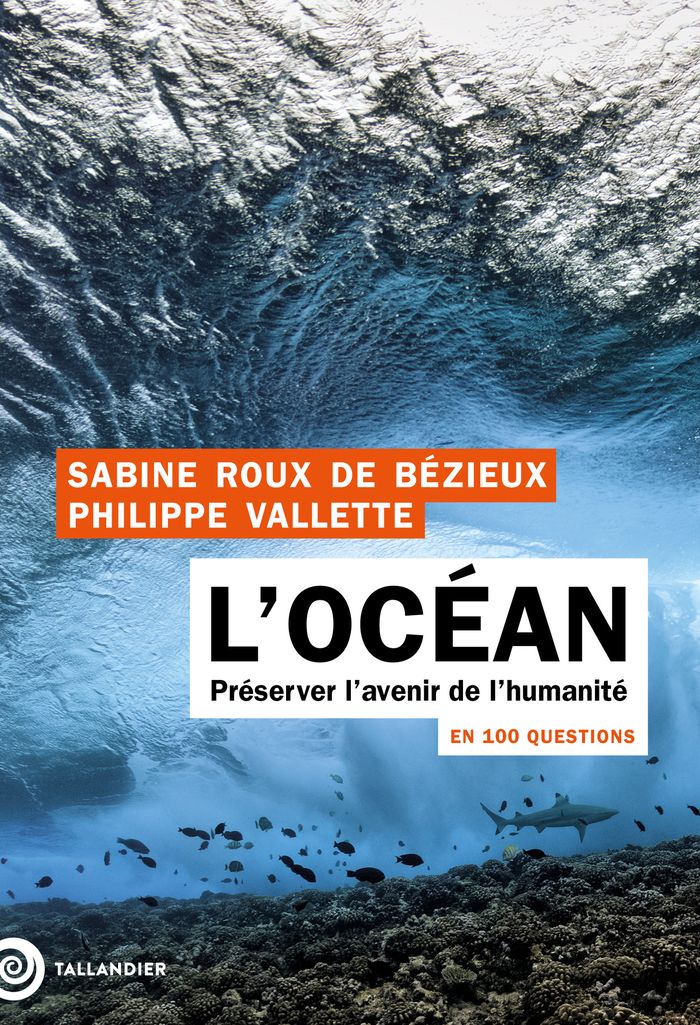 Couverture du livre « L'océan en 100 questions : préserver l'avenir de l'humanité » de Sabine Roux de Bézieux, librairie Les Contes Infusés à Corte