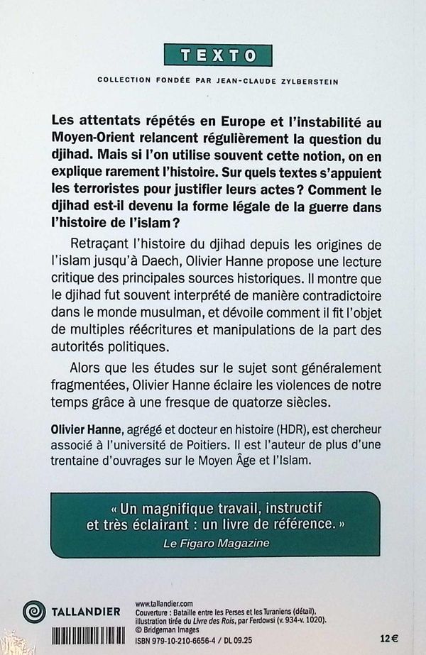 Quatrième de couverture de « Histoire du djihad : des origines de l'islam à Daech »