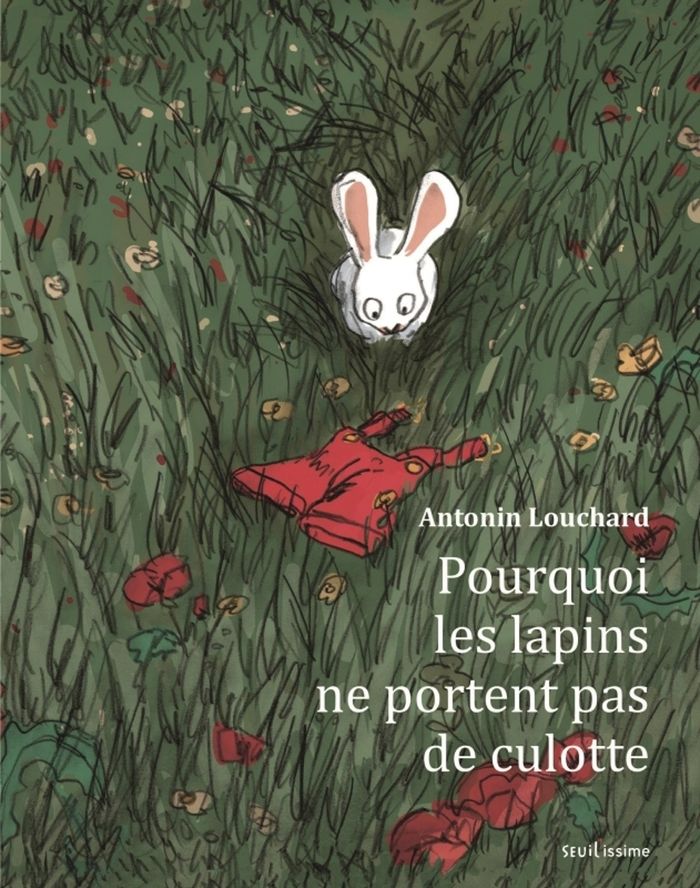 Couverture du livre « Pourquoi les lapins ne portent pas de culotte ? » de Antonin Louchard, librairie Les Contes Infusés à Corte