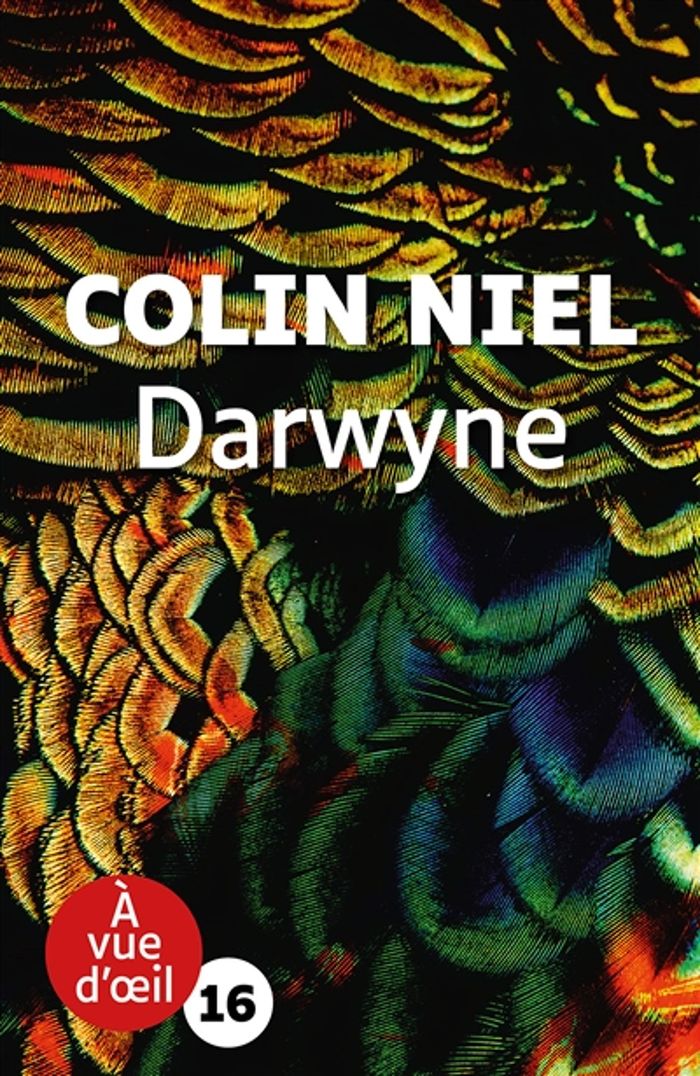 Couverture du livre « Darwyne : roman » de Colin Niel, librairie Les Contes Infusés à Corte
