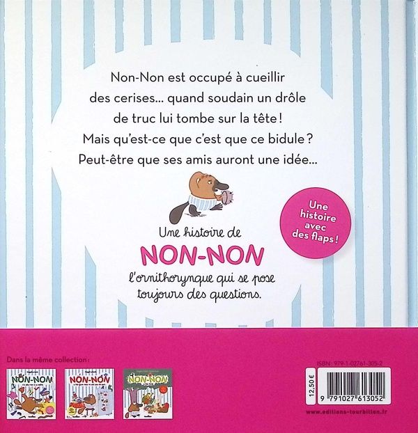 Quatrième de couverture de « Non-Non trouve un bidule »
