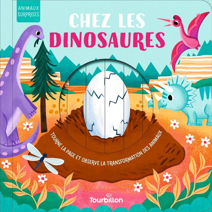 Couverture du livre « Chez les dinosaures » de Collectif, librairie Les Contes Infusés à Corte