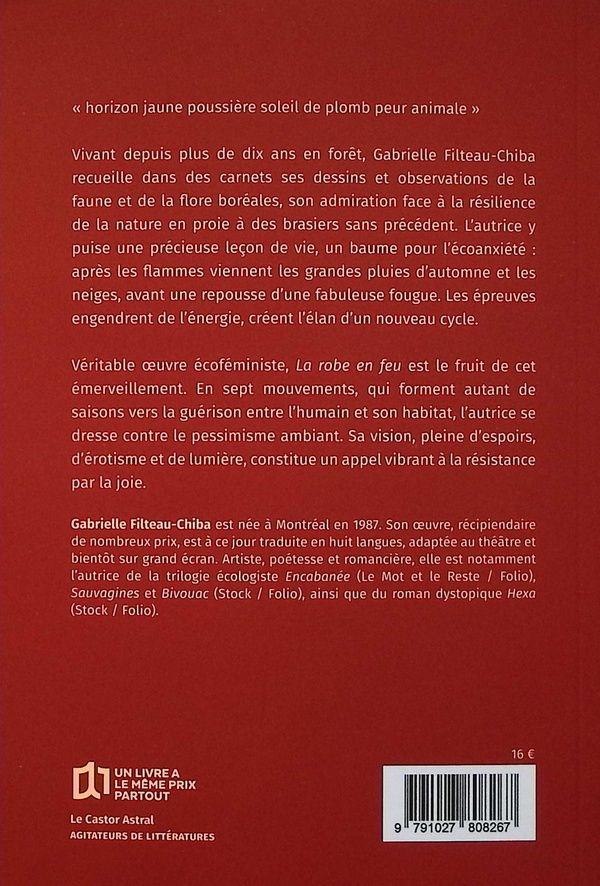 Quatrième de couverture de « La robe en feu »