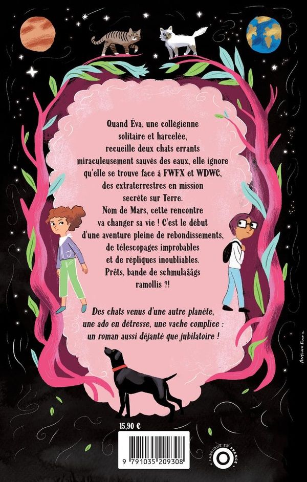 Quatrième de couverture de « Revenez, amis Martiens ! »