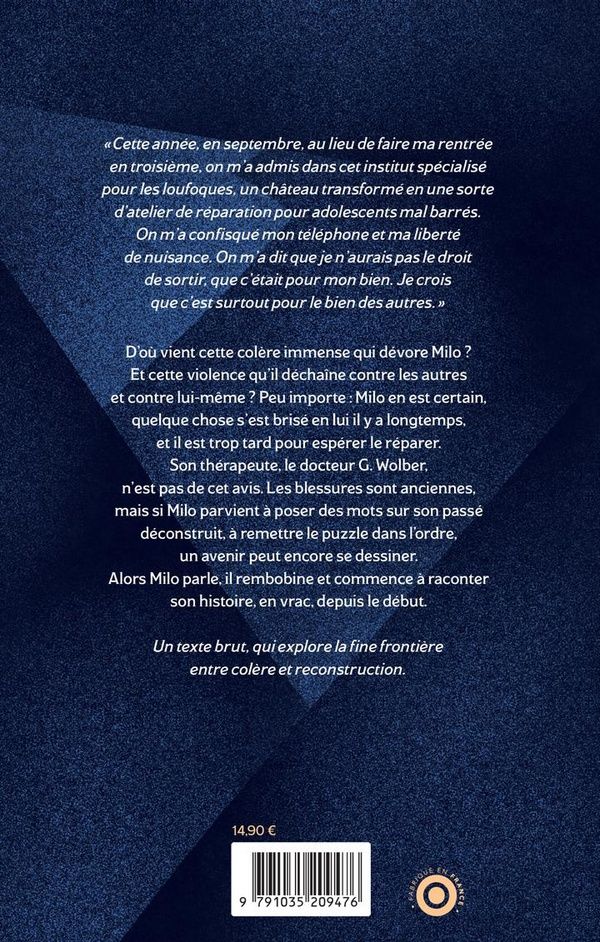 Quatrième de couverture de « Non réparable »