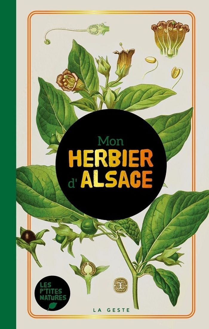 Couverture du livre « Mon herbier d'Alsace » de Collectif, librairie Les Contes Infusés à Corte