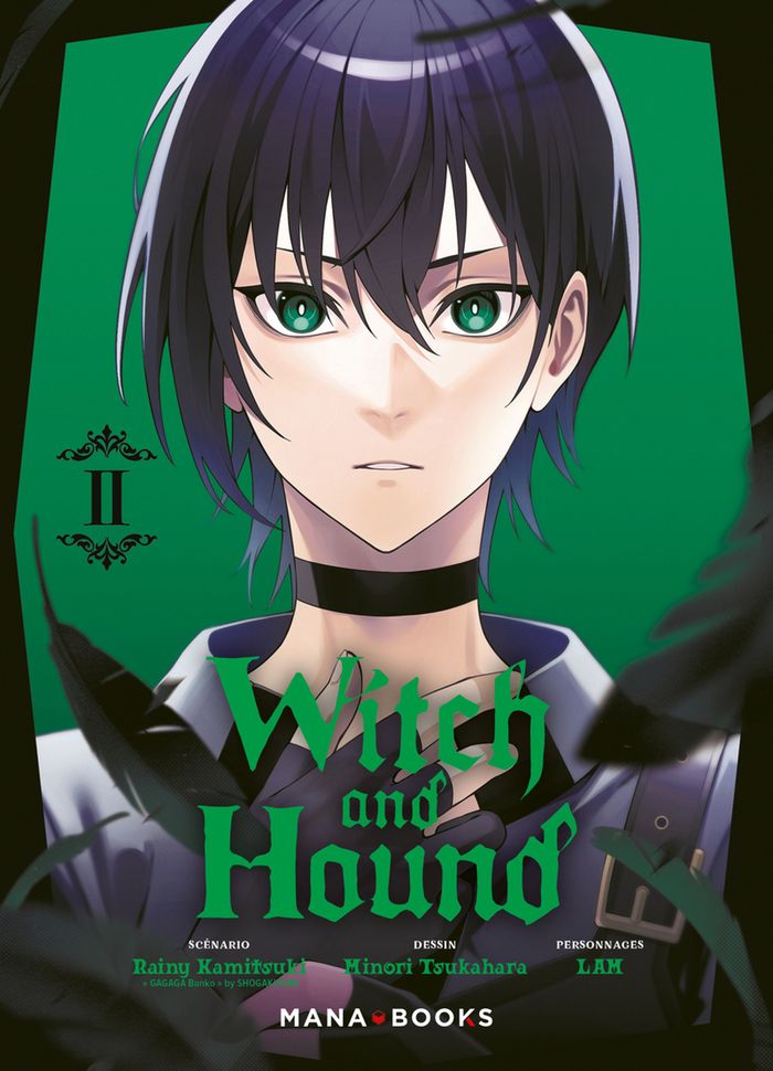 Couverture du livre « Witch and hound » de Kamitsukireinī, librairie Les Contes Infusés à Corte