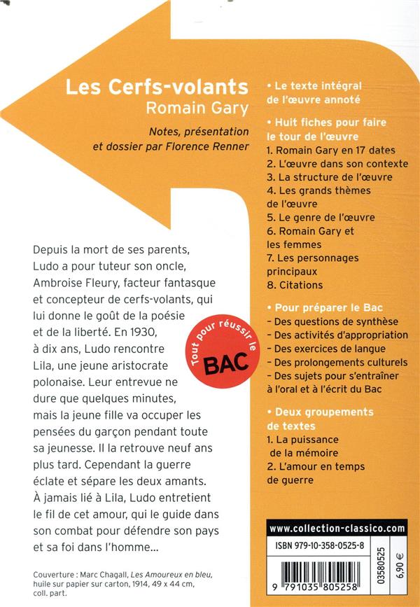 Quatrième de couverture de « Les cerfs-volants »