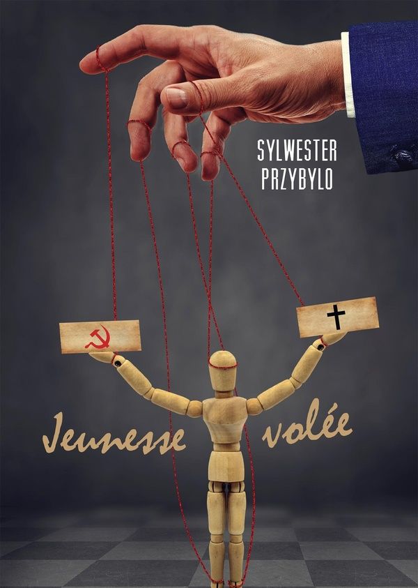 Couverture du livre « JEUNESSE VOLEE » de Sylwester Przybylo, librairie Les Contes Infusés à Corte