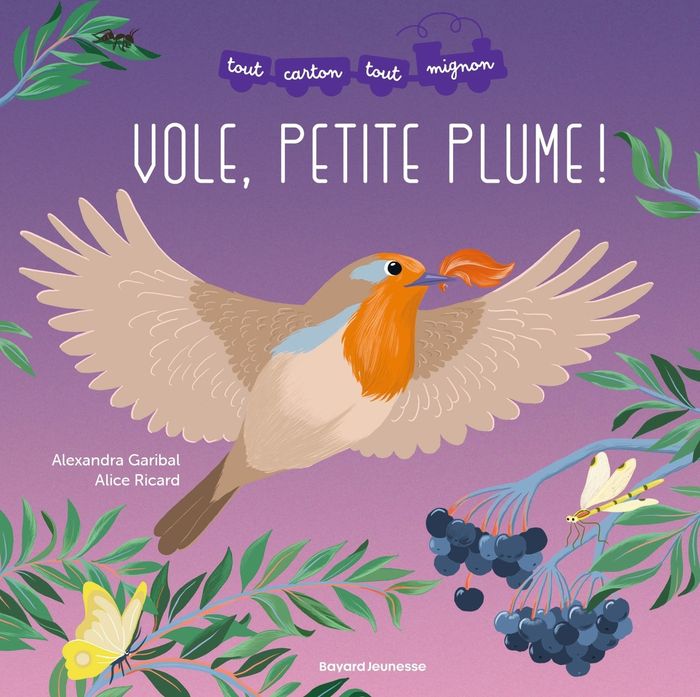 Couverture du livre « Vole, petite plume ! » de Alexandra Garibal, librairie Les Contes Infusés à Corte