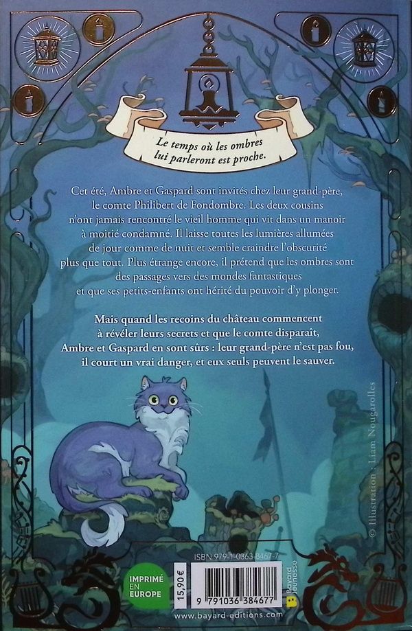 Quatrième de couverture de « Disparus dans les ombres »