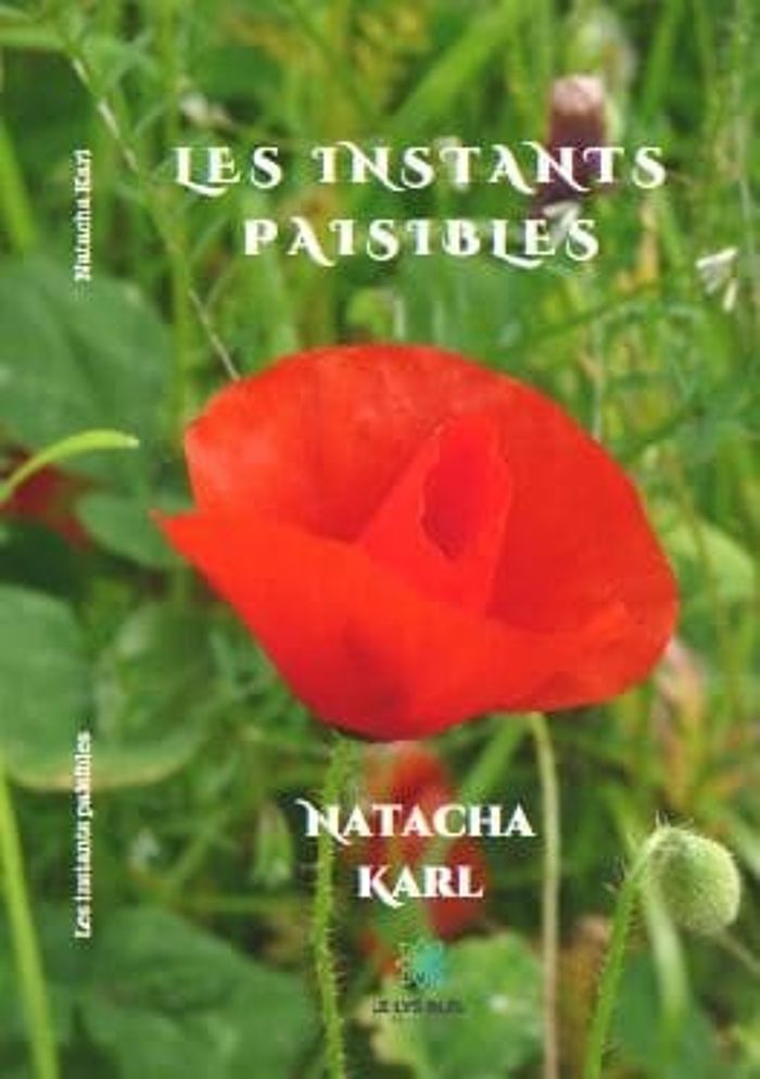 Couverture du livre « LES INSTANTS PAISIBLES » de N. Carle-Bezsonoff, librairie Les Contes Infusés à Corte