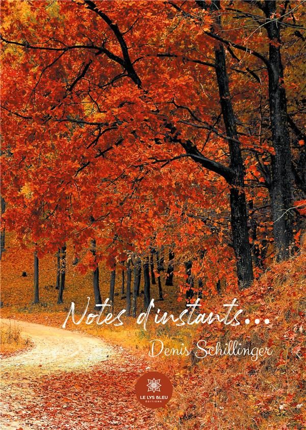Couverture du livre « NOTES DINSTANTS » de Denis Schillinger, librairie Les Contes Infusés à Corte
