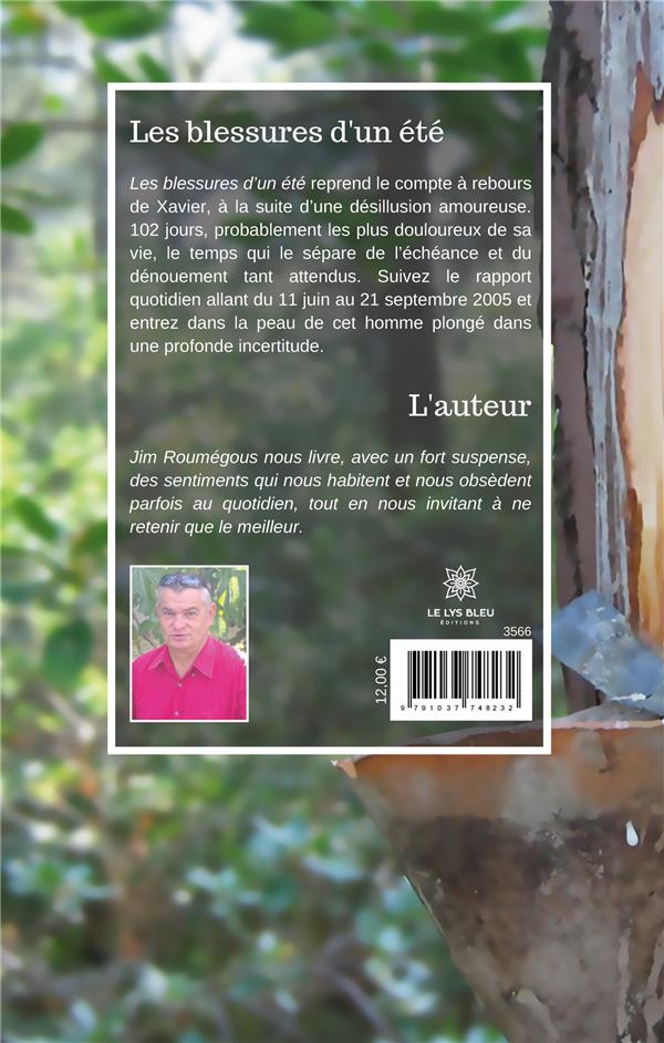 Quatrième de couverture de « LES BLESSURES DUN ETE »