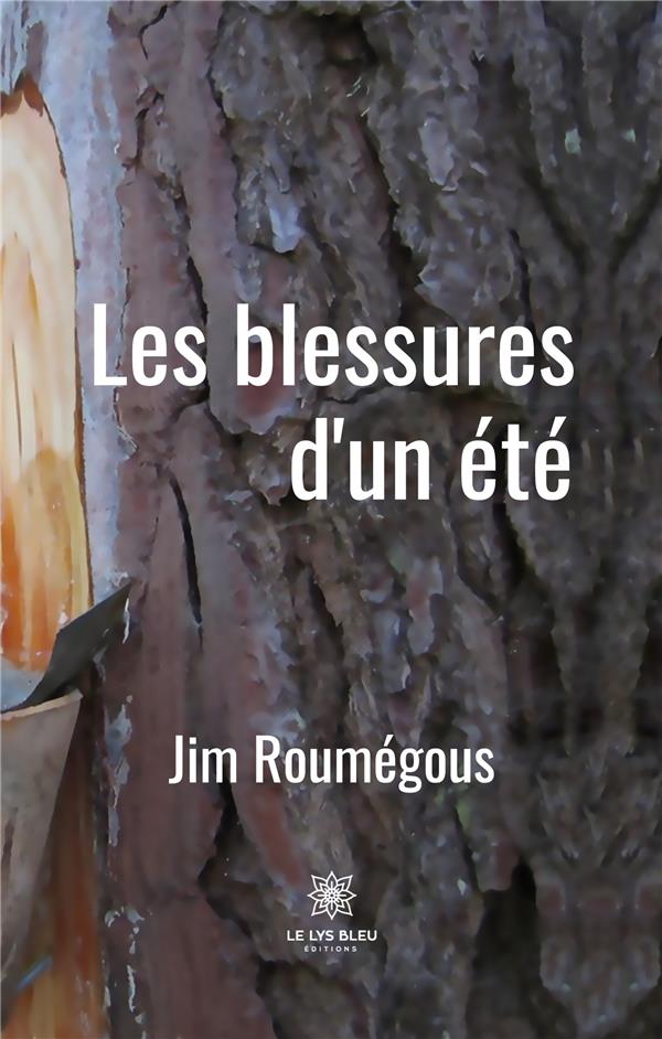 Couverture du livre « LES BLESSURES DUN ETE » de Jim Roumegous, librairie Les Contes Infusés à Corte