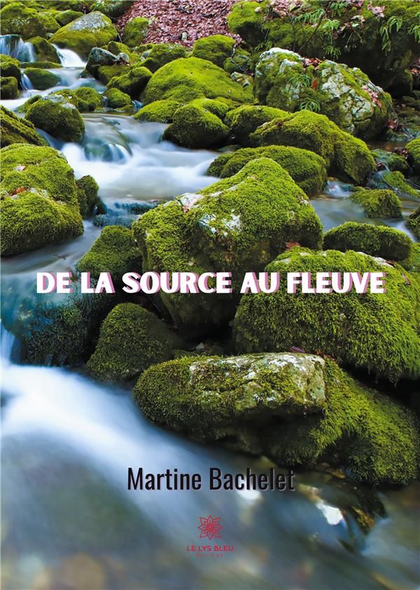 Couverture du livre « DE LA SOURCE AU FLEUVE » de Martine Bachelet, librairie Les Contes Infusés à Corte