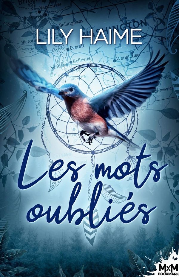 Couverture du livre « LES MOTS OUBLIES » de Lily Haime, librairie Les Contes Infusés à Corte