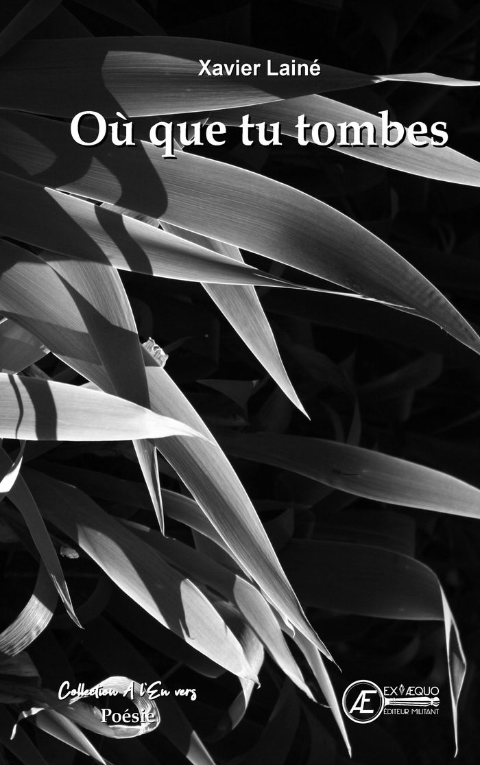 Couverture du livre « Où que tu tombes : et autres écritures » de Xavier Lainé, librairie Les Contes Infusés à Corte
