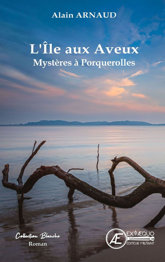 Couverture du livre « L'île aux aveux : roman » de Alain Arnaud, librairie Les Contes Infusés à Corte