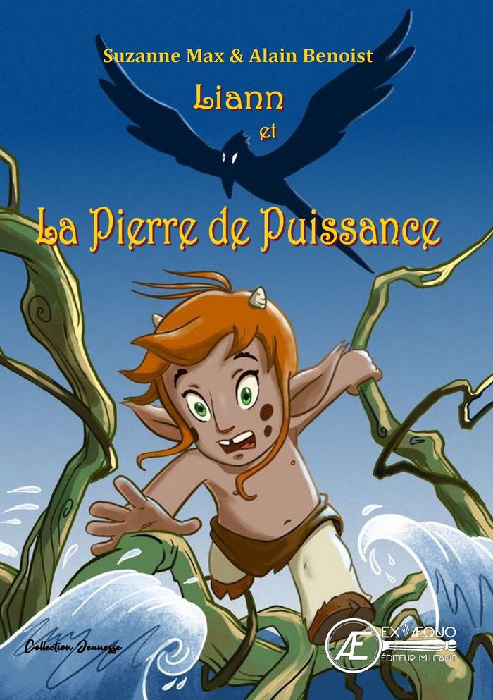 Couverture du livre « Liann et la pierre de puissance : roman jeunesse illustré » de Suzanne Max, librairie Les Contes Infusés à Corte