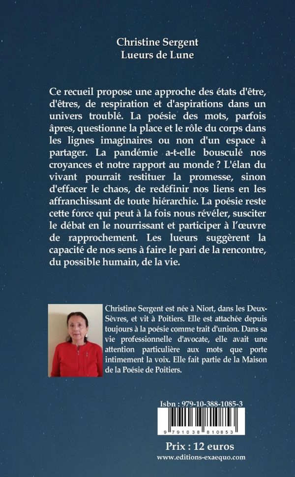 Quatrième de couverture de « Lueurs de lune »