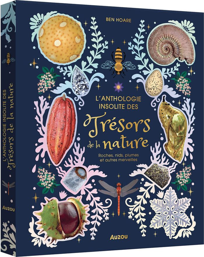 Couverture du livre « L'ANTHOLOGIE INSOLITE DES TRESORS DE LA NATURE : ROCHES, NIDS, PLUMES ET AUTRES MERVEILLE S », librairie Les Contes Infusés à Corte