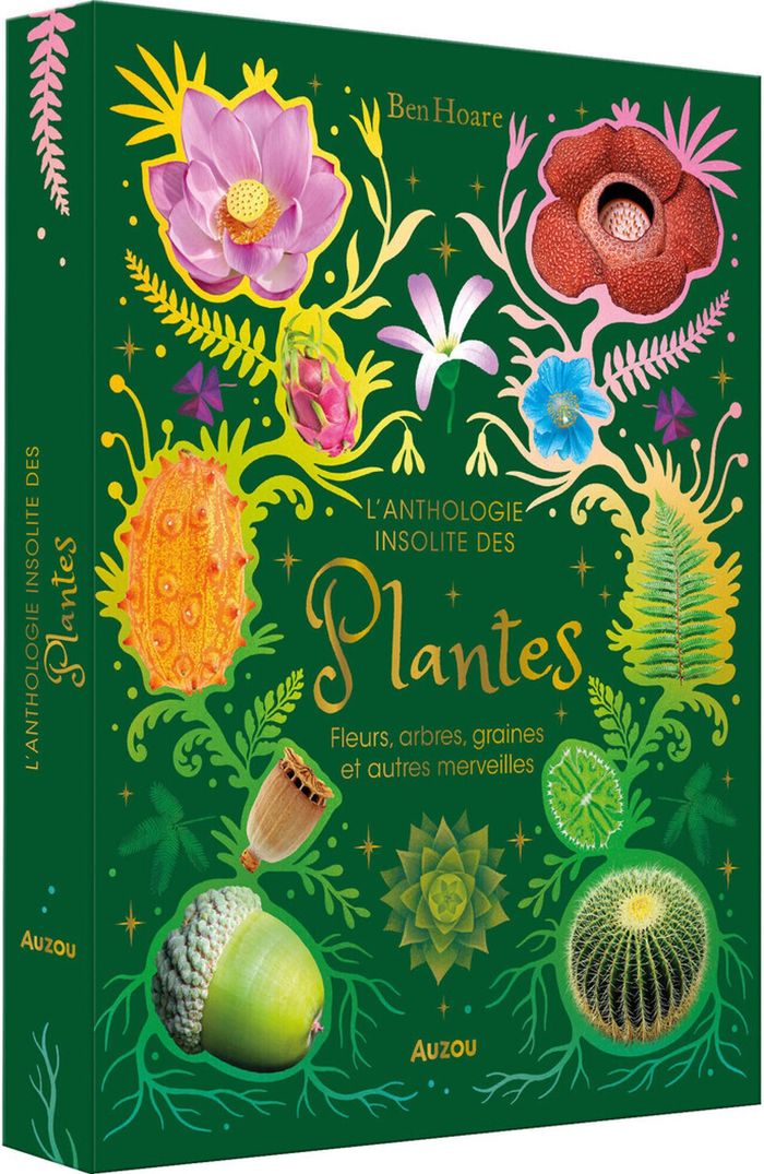 Couverture du livre « L'ANTHOLOGIE INSOLITE DES PLANTES - FLEURS, ARBRES, GRAINES ET AUTRES MERVEILLES », librairie Les Contes Infusés à Corte
