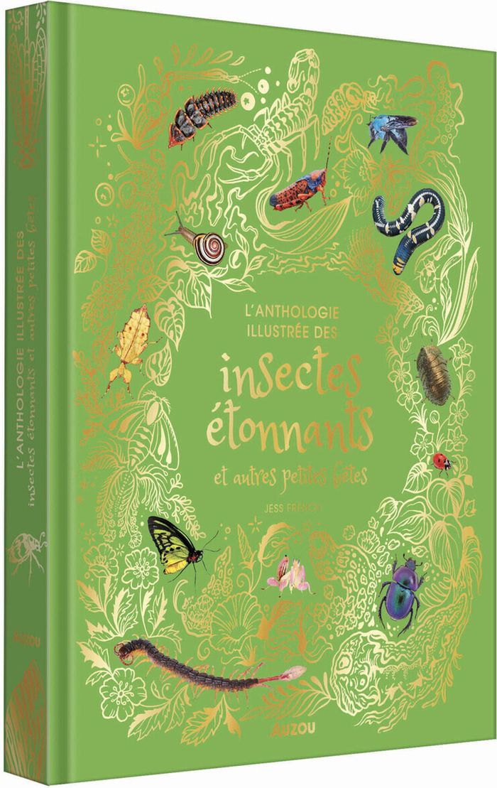 Couverture du livre « L'ANTHOLOGIE ILLUSTREE DES INSECTES ETONNANTS ET AUTRES PETITES BETES », librairie Les Contes Infusés à Corte