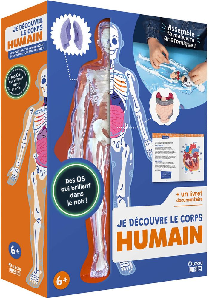 Couverture du livre « AUZOU LAB - JE DECOUVRE LE CORPS HUMAIN », librairie Les Contes Infusés à Corte