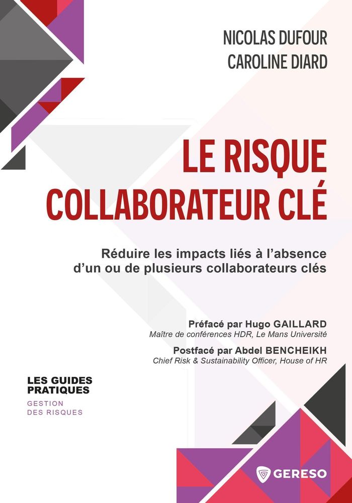Couverture du livre « Le risque collaborateur clé : réduire les impacts liés à l'absence d'un ou de plusieurs collaborateurs clés » de Nicolas Dufour, librairie Les Contes Infusés à Corte