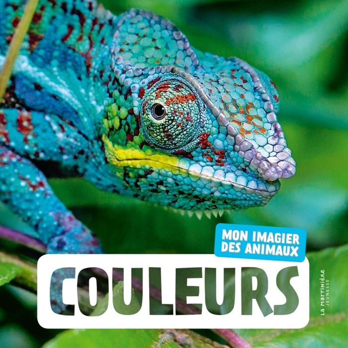 Couverture du livre « Couleurs » de Collectif, librairie Les Contes Infusés à Corte