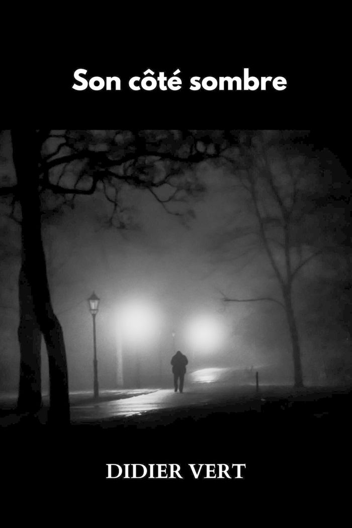 Couverture du livre « Son côté sombre » de Didier Vert, librairie Les Contes Infusés à Corte